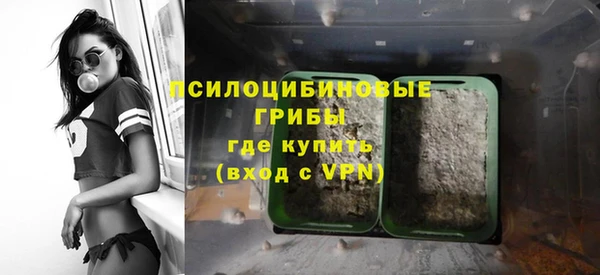 индика Алзамай