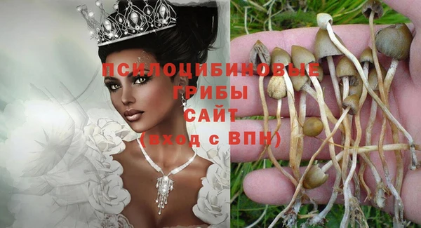 a pvp Армянск
