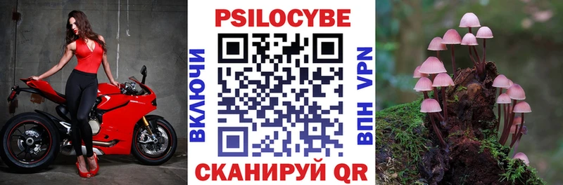 закладка  Кирово-Чепецк  blacksprut рабочий сайт  Псилоцибиновые грибы ЛСД 